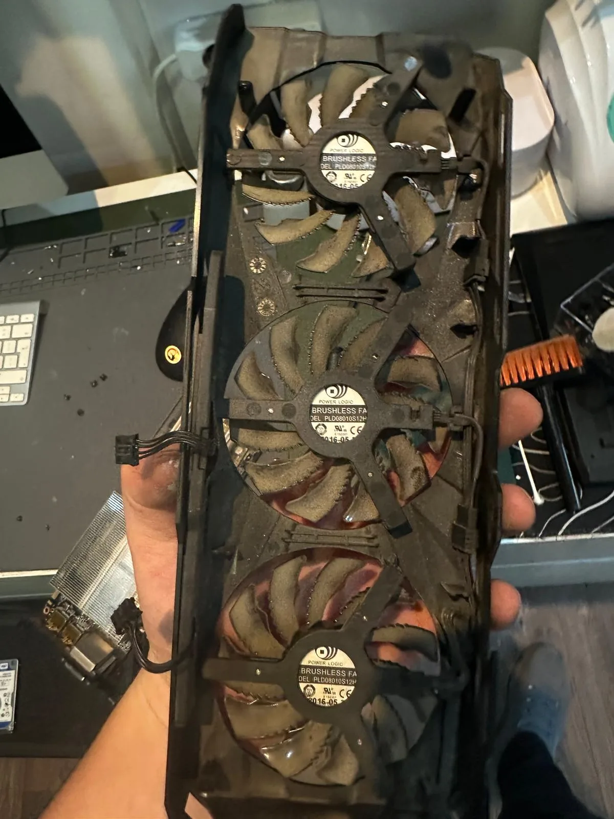 Placă video cu trei ventilatoare, ținută în mână în atelier